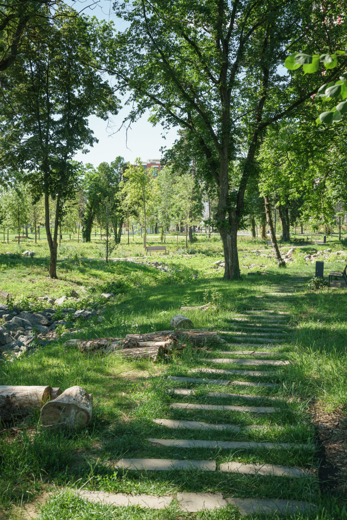 Cum arată Parcul Feroviarilor din Cluj-Napoca după modernizare