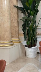 Sonorizarea restaurantului City Grill din Cazinoul Constanța &ndash; integrarea unui sistem audio profesional &icirc;ntr-o clădire monument