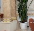 Sonorizarea restaurantului City Grill din Cazinoul Constanța &ndash; integrarea unui sistem audio profesional &icirc;ntr-o clădire monument