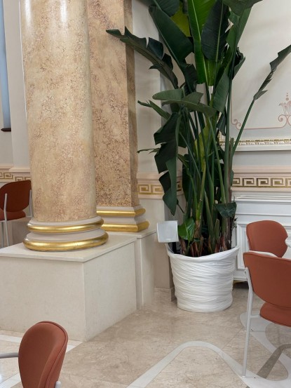 Boxa Ecler CUBE integrat discret intr-un ghiveci decorativ  Constanta ABC Tehno Solutions
