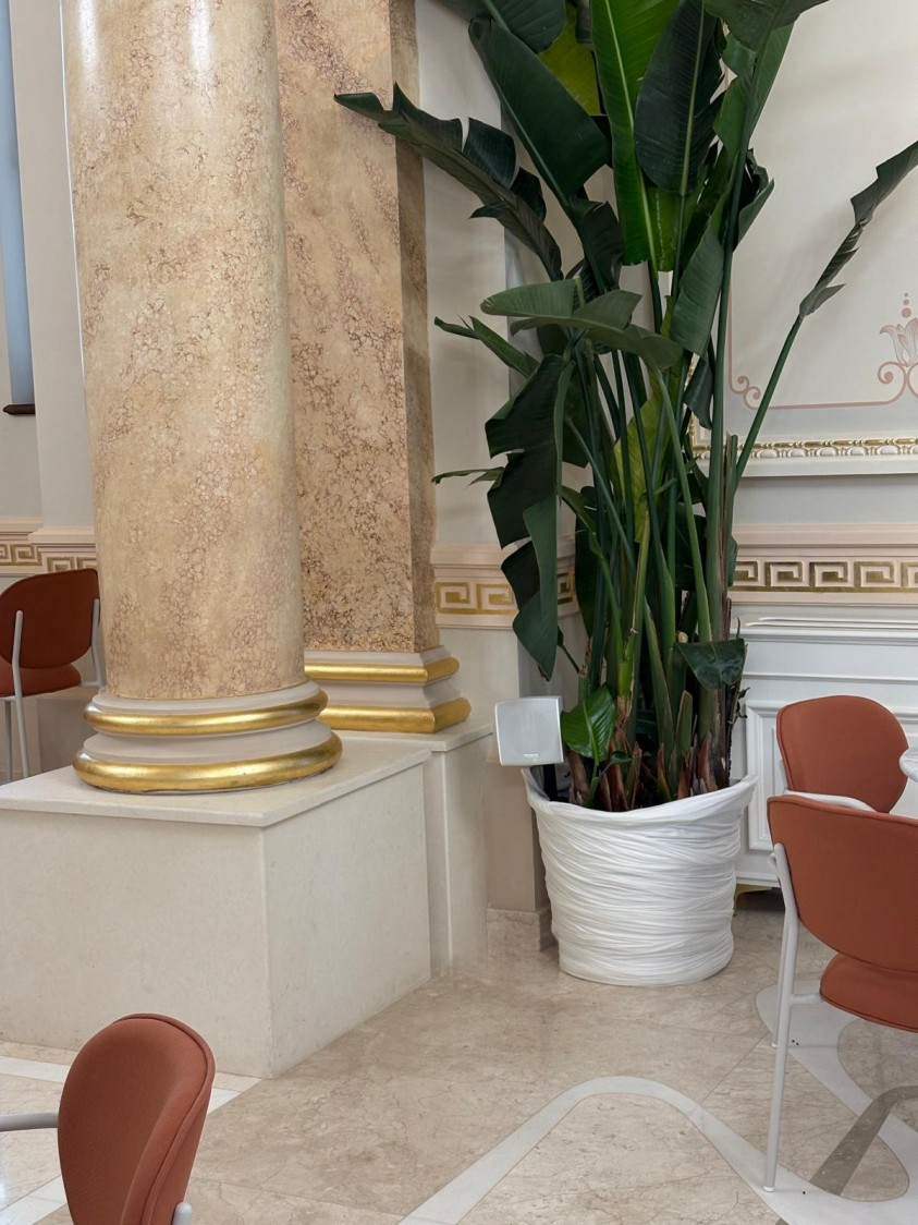 Boxa Ecler CUBE integrat discret intr-un ghiveci decorativ  Constanta ABC Tehno Solutions