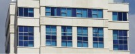 Sticla colorata (Tinted)