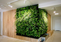 Gradini verticale pentru pereti si fatade - Eco Garden Construct
