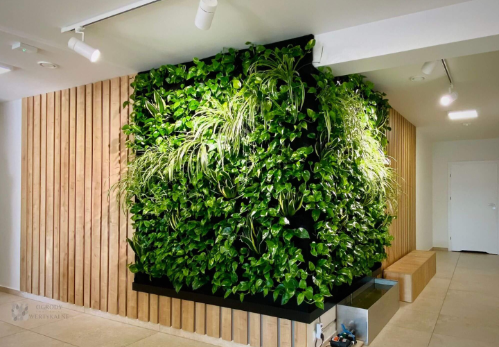 Gradini verticale pentru pereti si fatade_Eco Garden Construct_secundar_1.png