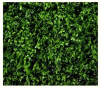 Perete verde artificial - VV 6012 Greenwall Small Fern Mix - 1x1 m