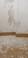Hidroizolarea pereților umezi de la parterul unui apartament din Brașov