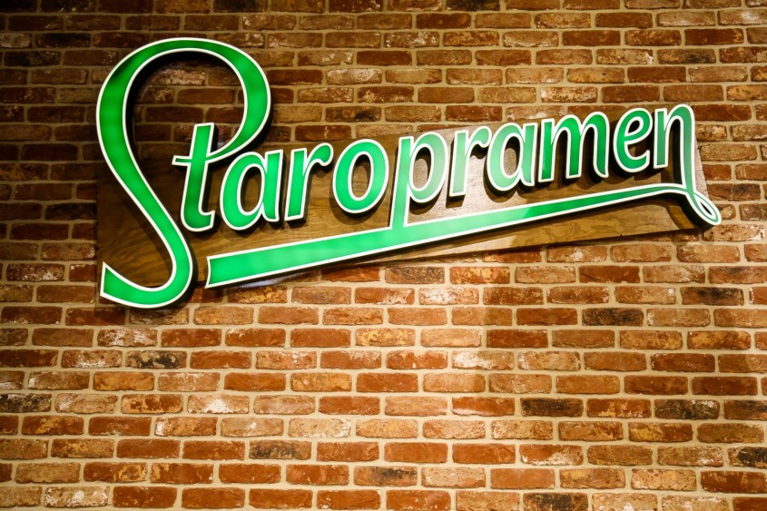 Perete cu caramida aparenta Oud Brabant