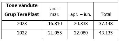 Activitatea Grupului TeraPlast accelerează în trimestrul 2
