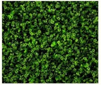 Perete verde artificial - VV 6013 Greenwall Clover Mix - 1x1 m