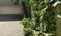 Verde viu în București 2025 Arta de a amenaja cu gust și responsabilitate Amenajarea cu gust