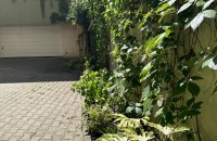 Verde viu în București 2025: Arta de a amenaja cu gust și responsabilitate