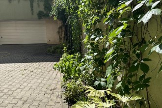 Verde viu în București 2025: Arta de a amenaja cu gust și responsabilitate