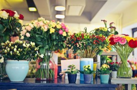 Cum începi o afacere cu flori de vânzare și care sunt pașii de urmat