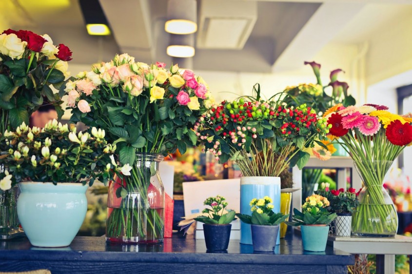 Cum începi o afacere cu flori de vânzare și care sunt pașii de urmat