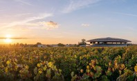 O cramă inserată armonios printre viile din Bordeaux Concepută de britanicii de la Foster + Partners