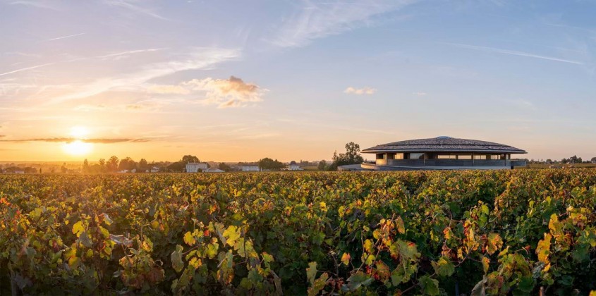 O cramă inserată armonios printre viile din Bordeaux