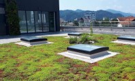 Acoperișul verde alegerea sănătoasă pentru o casă modernă Ce înseamnă un acoperiș verde? Un acoperiș verde