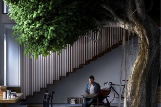 Casa cu un ficus &icirc;nalt de zece metri &icirc;n mijlocul livingului