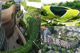 Acoperișuri verzi pentru oraşe sănătoase. 10 exemple impresionante