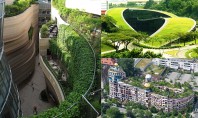 Acoperișuri verzi pentru oraşe sănătoase 10 exemple impresionante Tot ce trebuie sa facem este sa le