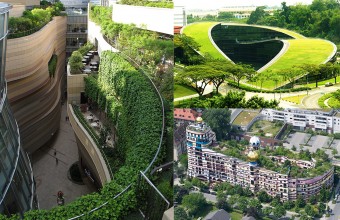 10 dintre cele mai interesante acoperișuri verzi din lume