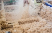 Izolează-ți mansarda ori podul cu lână de lemn și achită în 12 rate fără dobândă!