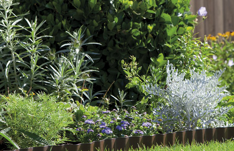 COMPO pentru plante frumoase si gradini elegante! Testeaza pe www.hai-la-casa.ro!