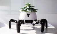 Acest robot iți plimbă planta și dansează când trebuie să o uzi Inveseliti-va voi cei nepriceputi