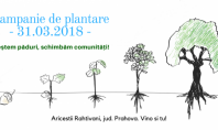 ROCKWOOL se alătură acțiunii de împădurire Marea Plantare din județul Prahova Implicarea in acest proiect se