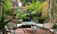 Portofoliu de proiecte exclusive Grădini de lux realizate de Eco Garden Construct Pentru cei care își
