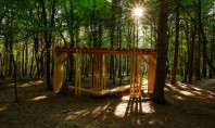 Proiectul Pădurea-parc Făget Plămânul verde al Clujului câștigător la New European Bauhaus 2024 Proiectul “Pădurea-parc Făget