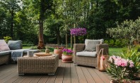 Cum să-ți transformi terasa într-un colț de rai cu jardiniere și ghivece decorative Alege jardinierele și