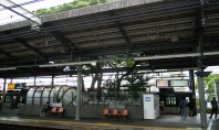 Gara construita in jurul unui arbore secular La vremea la care statia Kayashima a fost construita