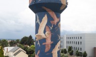 Un turn de apă decorat cu imagini ale păsărilor locale Artistul stradal Taquen a petrecut astă-vară