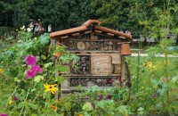 &bdquo;Hoteluri&rdquo; pentru insecte benefice: cum le construiești și unde le amplasezi