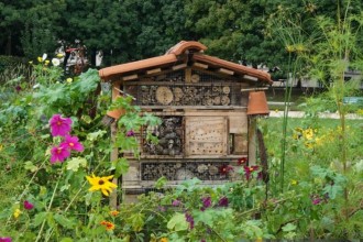 &bdquo;Hoteluri&rdquo; pentru insecte benefice: cum le construiești și unde le amplasezi