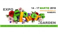 Vezi care sunt tendinţele în grădinărit din această primăvară la Expo Flowers & Garden 