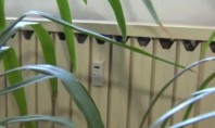Contoarele sau repartitoarele de căldură obligatorii de la sfârşitul anului în apartamentele racordate la sistemele centralizate