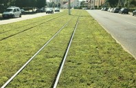 Combaterea temperaturilor caniculare extreme prin crearea de natură urbană