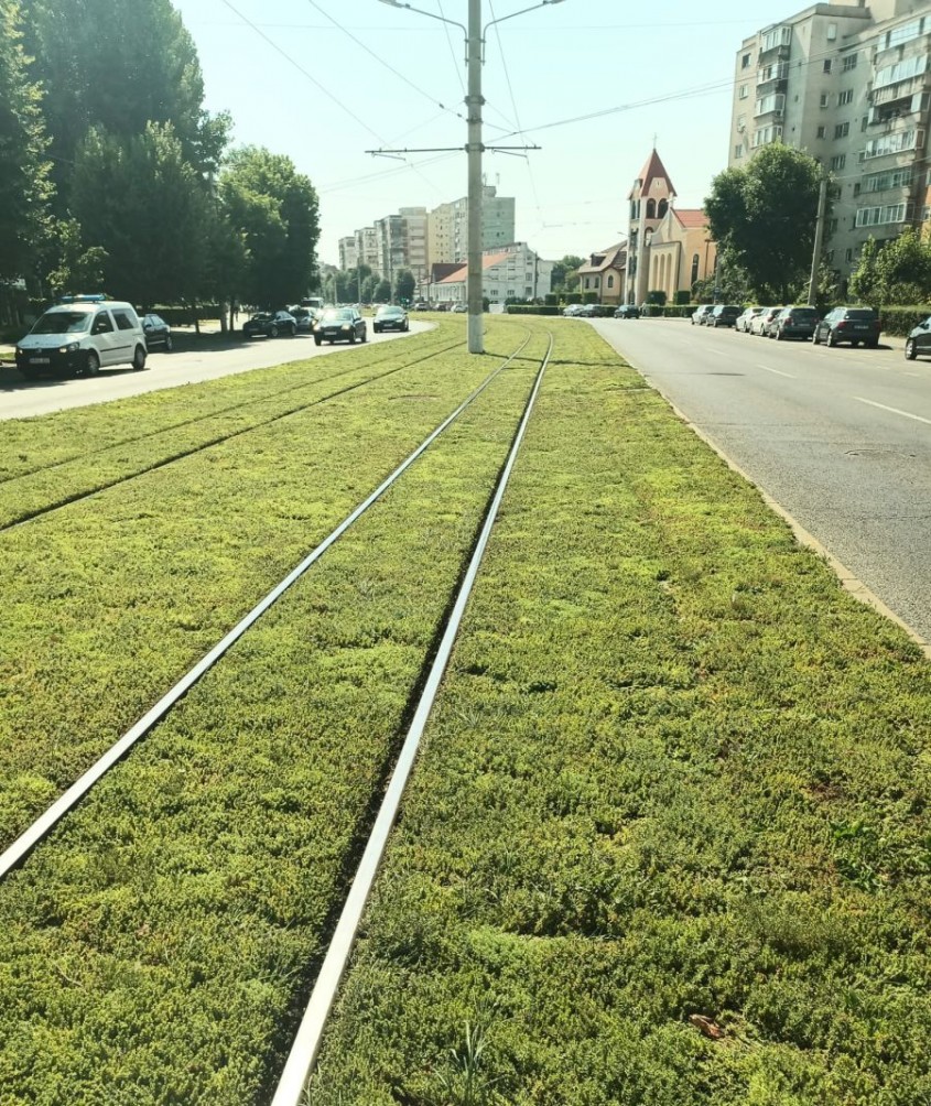 Combaterea temperaturilor caniculare extreme prin crearea de natură urbană