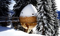 Casa din copac în formă de ou oferă o priveliște uimitoare către Alpii italieni Intr-una dintre