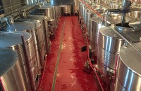 Unify.Co.Ltd. - lucrari de pardoseli sintetice la crame de vin in zona Dobrogei