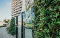 Pentru verde este mereu loc. Cum poți integra în viața ta panourile cu iederă naturală Greenstant