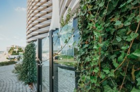 Pentru verde este mereu loc. Cum poți integra în viața ta panourile cu iederă naturală Greenstant