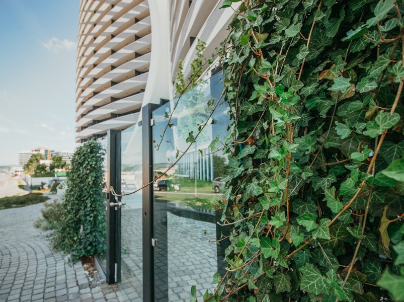 Pentru verde este mereu loc. Cum poți integra în viața ta panourile cu iederă naturală Greenstant
