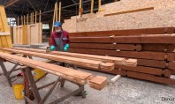 Care sunt etapele de tratare a suprafețelor din lemn? Cu toate acestea lemnul este mai puțin
