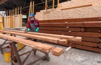 Care sunt etapele de tratare a suprafețelor din lemn?