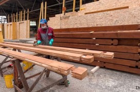 Care sunt etapele de tratare a suprafețelor din lemn?