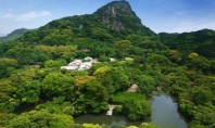 Parcul gigantic japonez transformat într-o pădure de lumină psihedelică O echipa japoneza de arta colectiva a