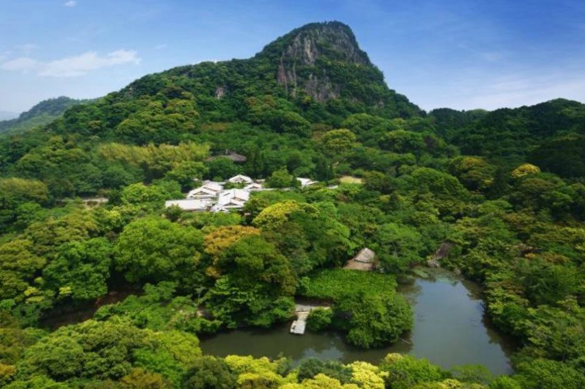 Parcul gigantic japonez transformat într-o pădure de lumină psihedelică